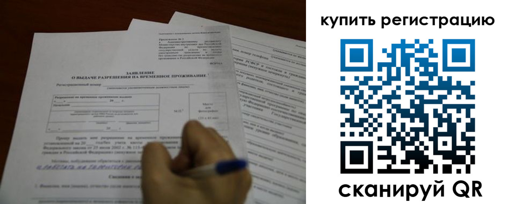 прописка 2025 в Светлогорске